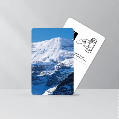 Featured image for “RFID Key Cards”