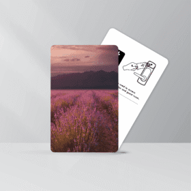 Featured image for “Key Cards for Beline”