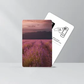 Featured image for “Key Cards for Beline”